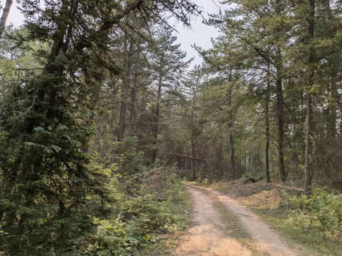 Whisper Lake trail photo