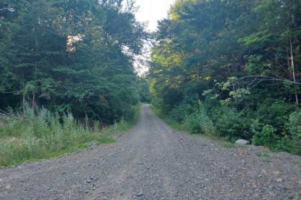 Shaw Camp Road