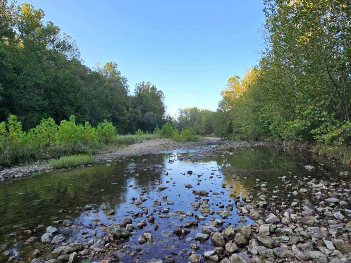 Little Gravois Creek North Trail trail photo