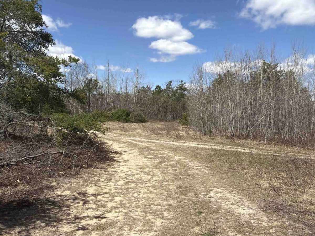 SF 13 trail photo