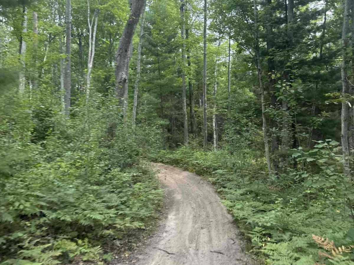 Old State House Trail photo 3
