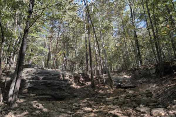#140 Ed's Ledge