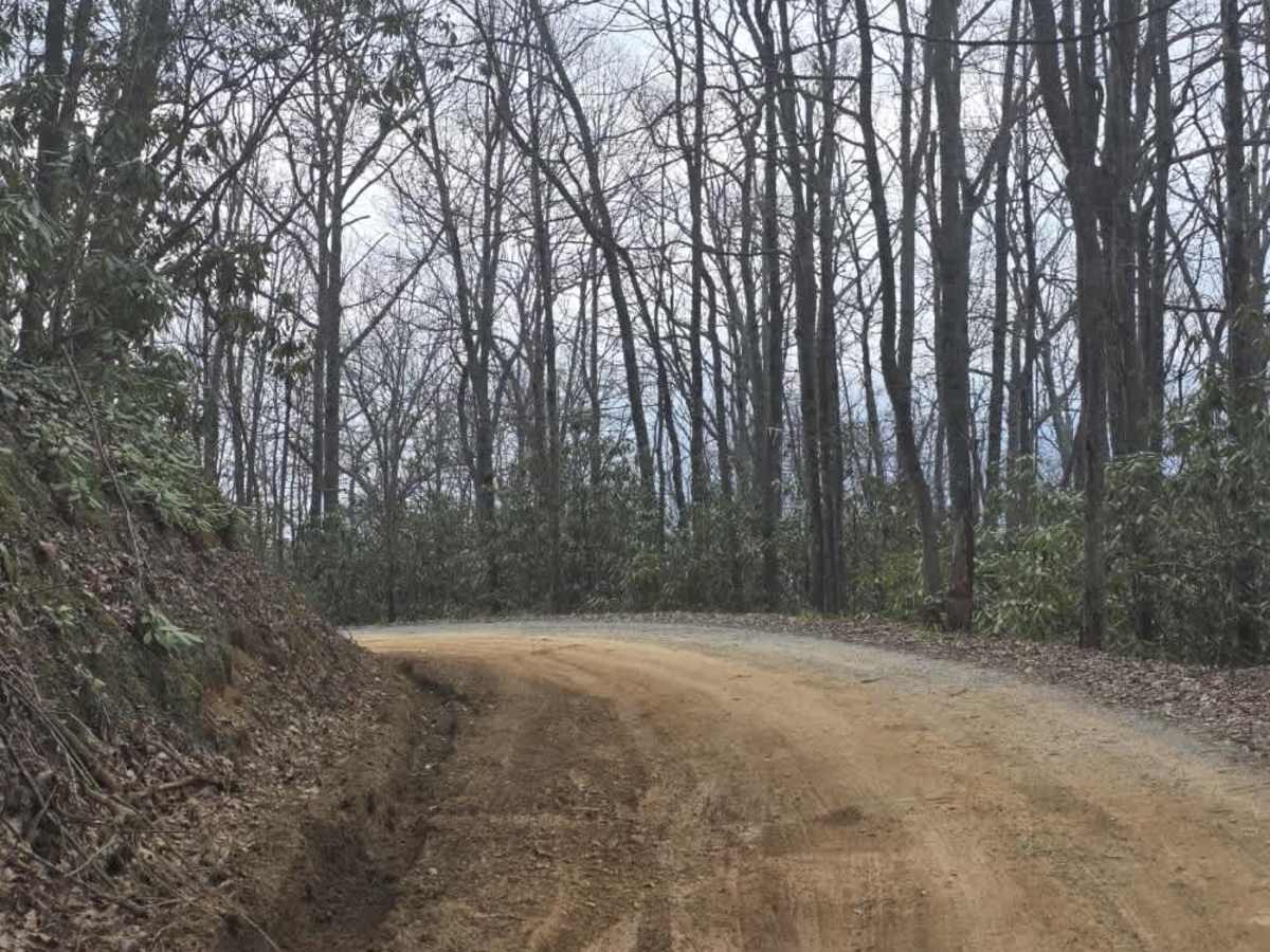 Big Creek South photo 4