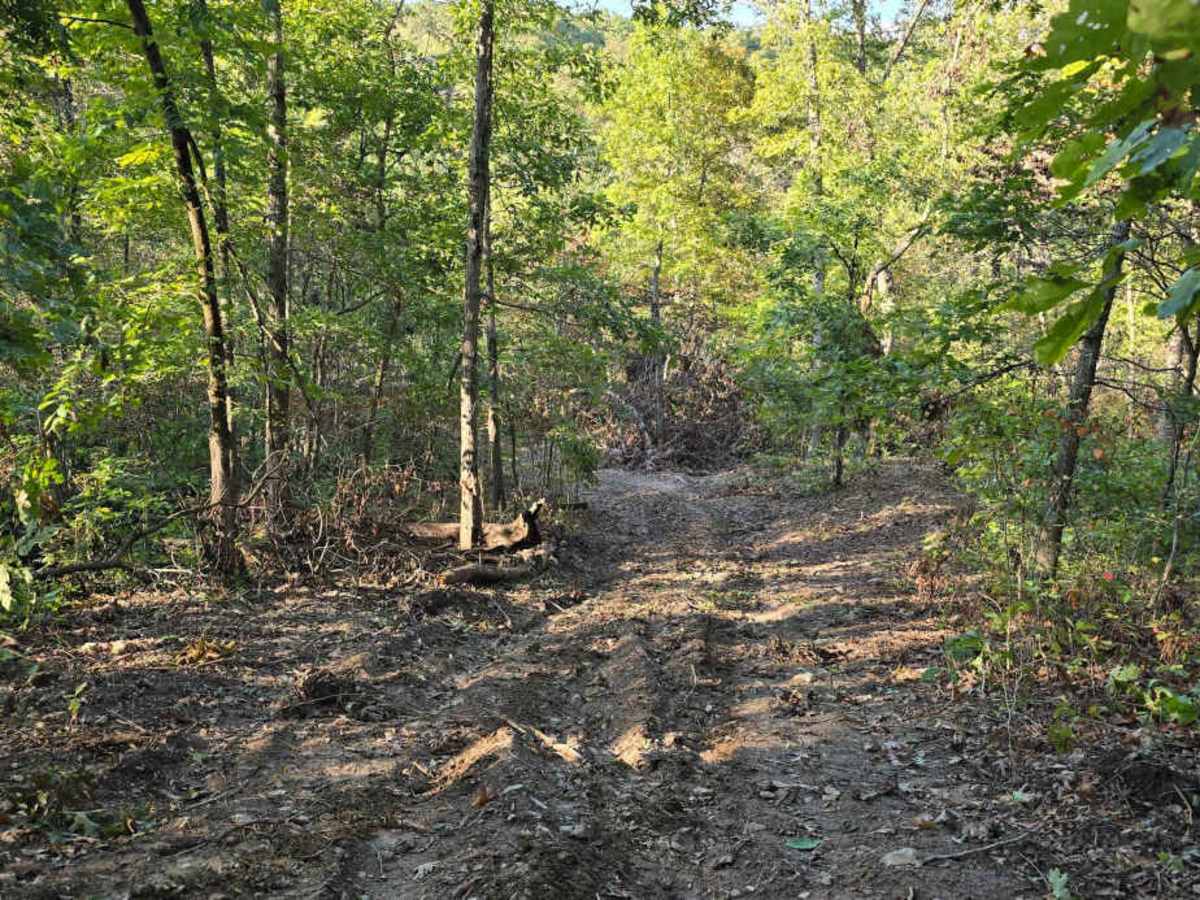 Logging Trail #1 photo 2