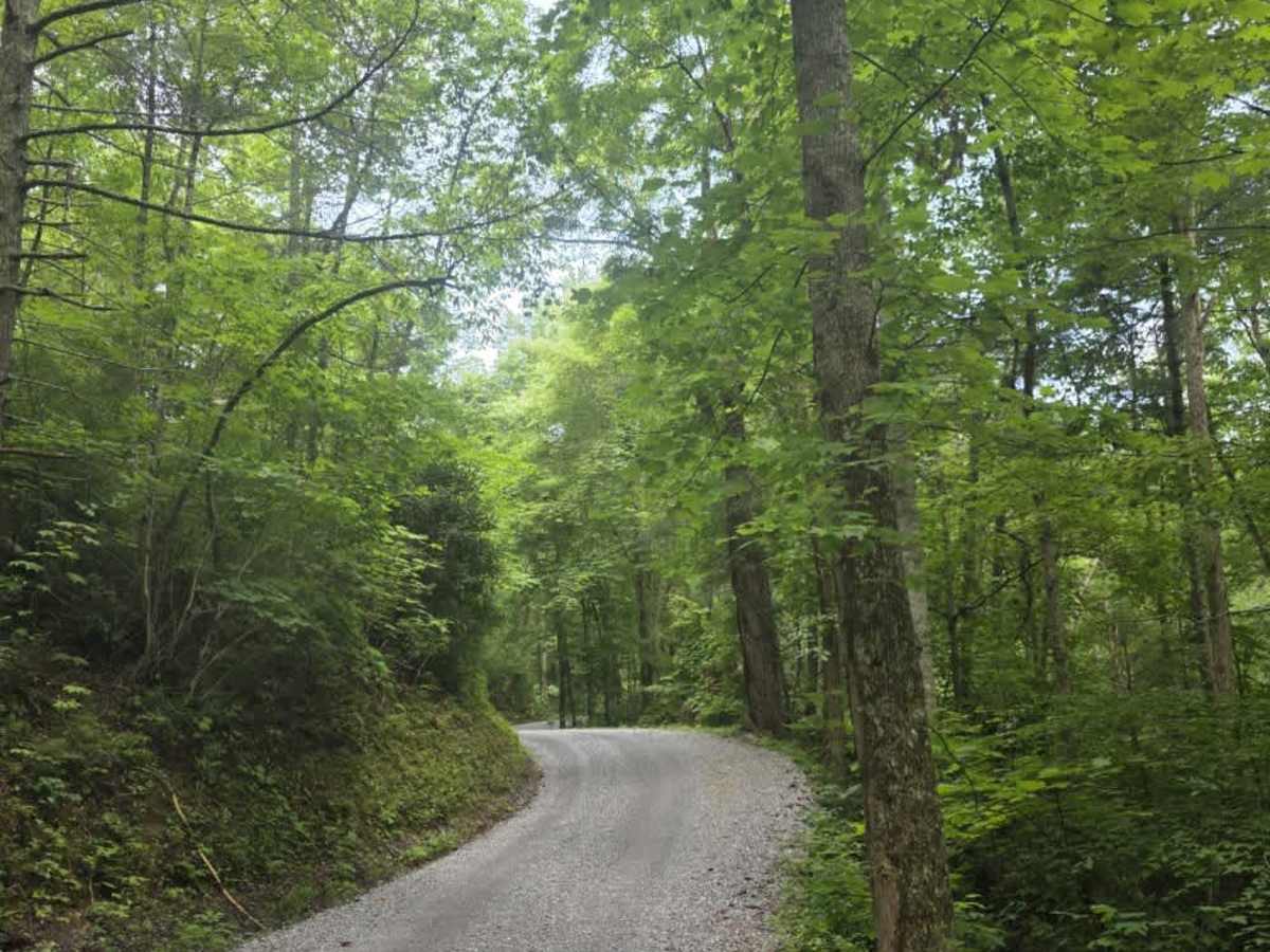 Ridge Road photo 4