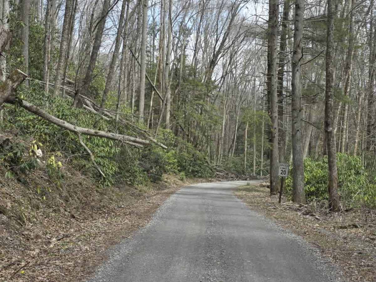 Red Fork Road photo 5