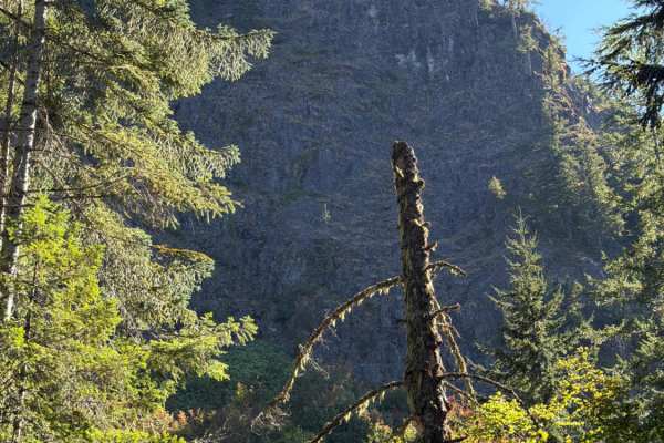 Upper Neal Creek Road
