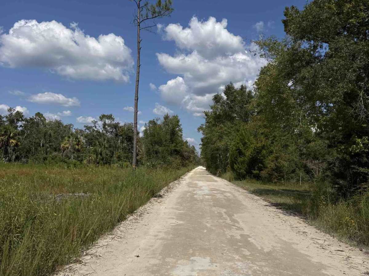Storm Mainline Road photo 6
