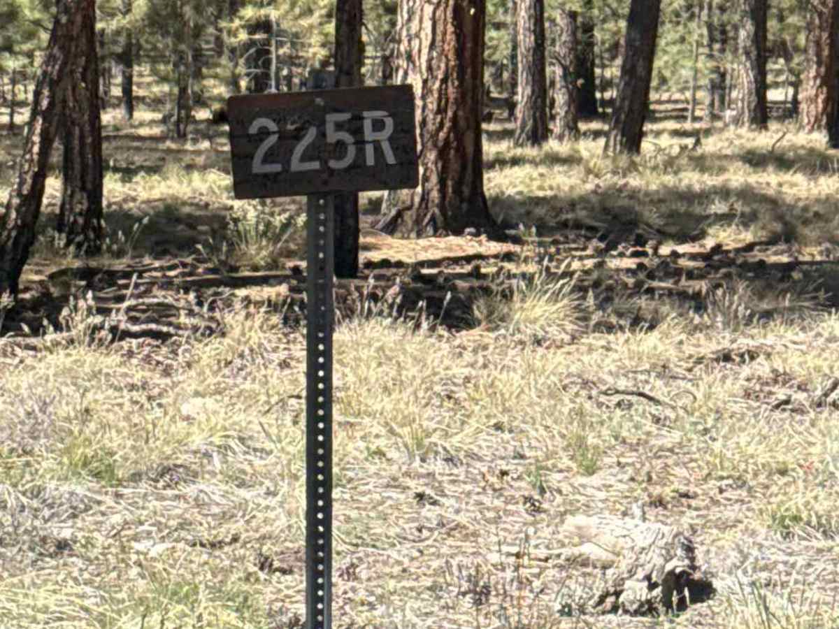 FS 225R trail photo