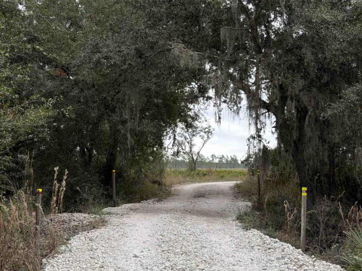 Road 19 - Three Lakes WMA trail photo