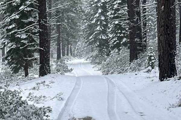 Forest Road 4130-000