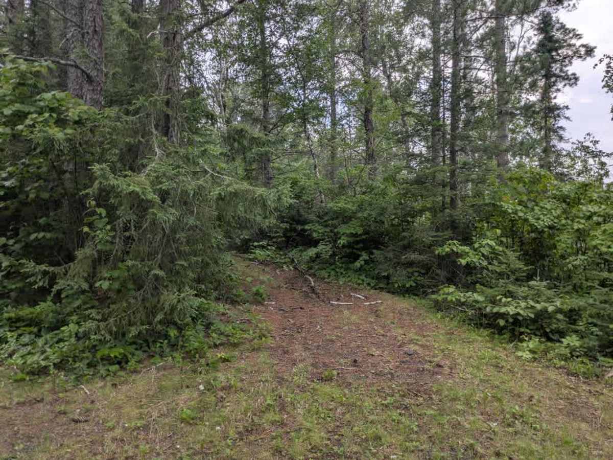 August Creek  photo 5