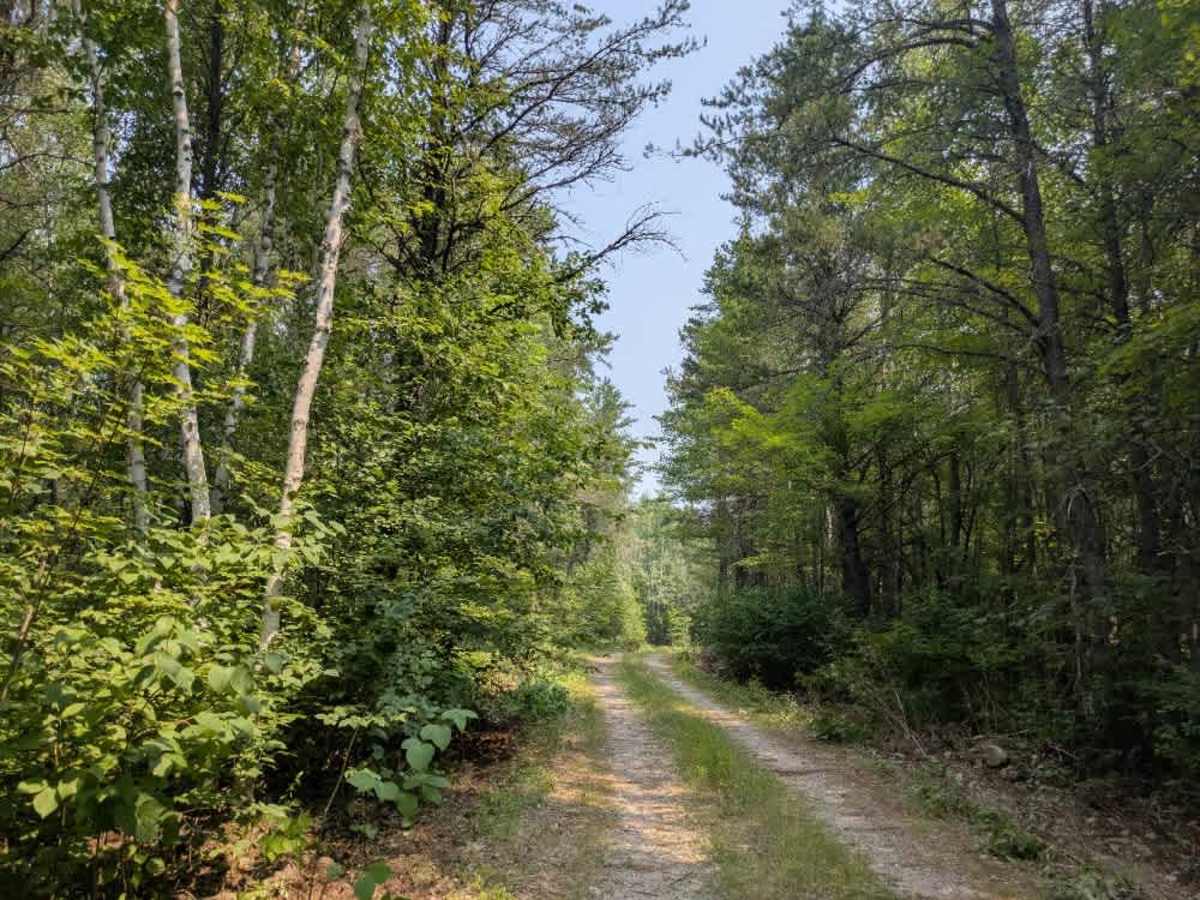 High Lake Road photo 4