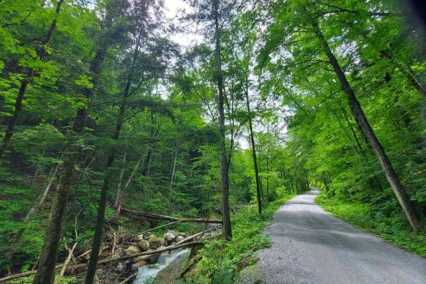 Rangers Road 