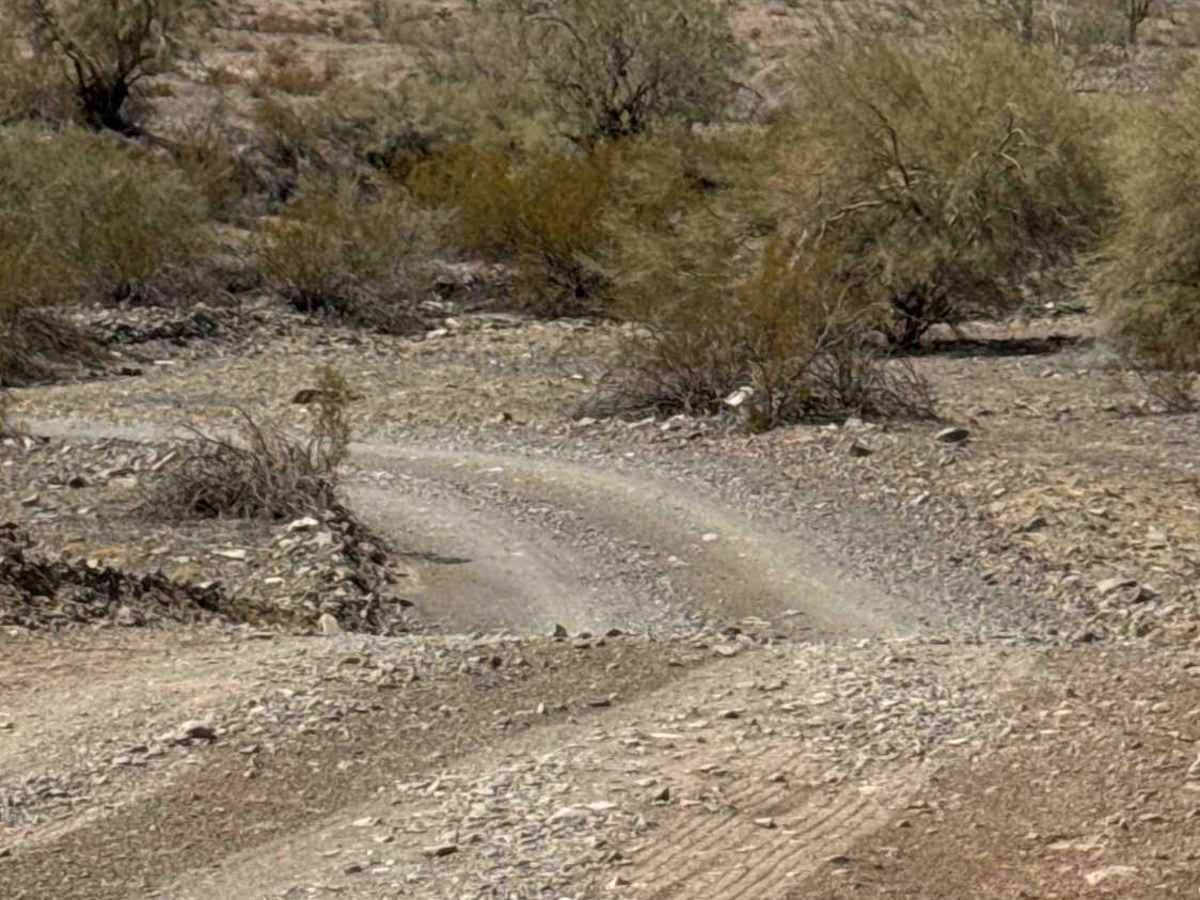 Desert Crossroads trail photo