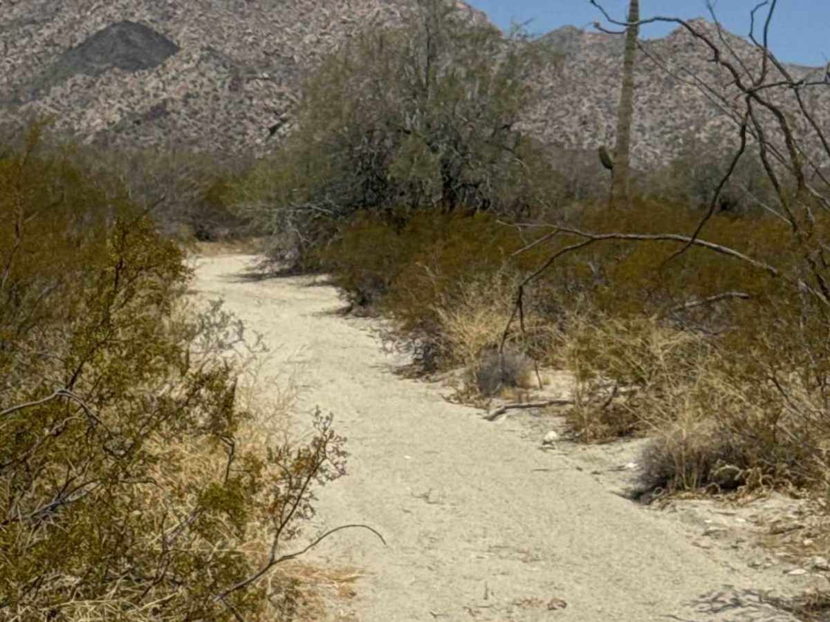 Northbound Powerline  trail photo