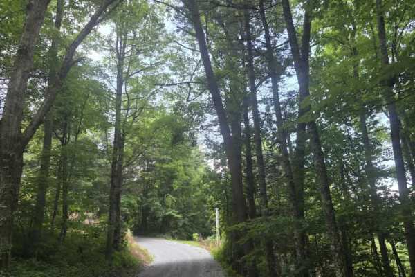 Ridge Road