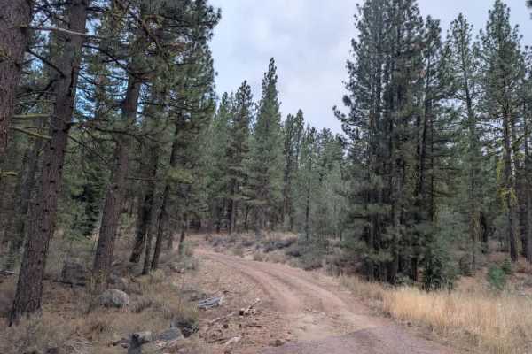 FS 30N82