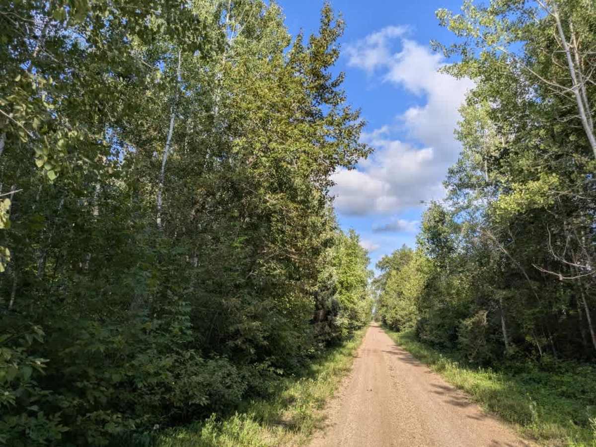 Bednar Forest Road photo 2