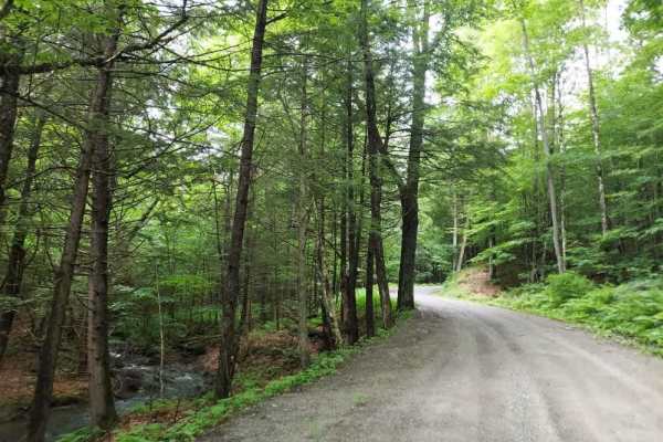 White Brook Road