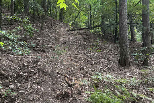Woodpecker Ridge