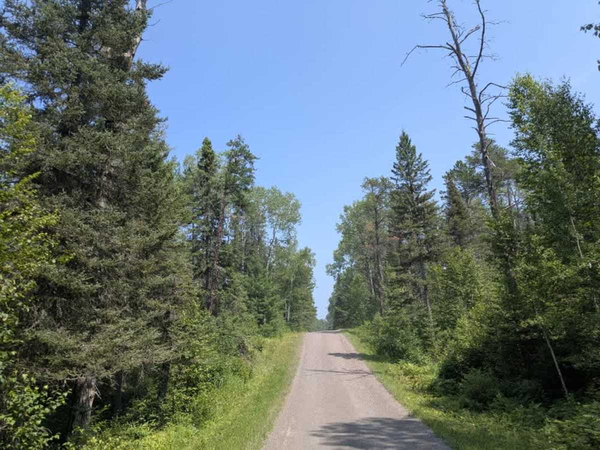 Devil Track Road trail photo