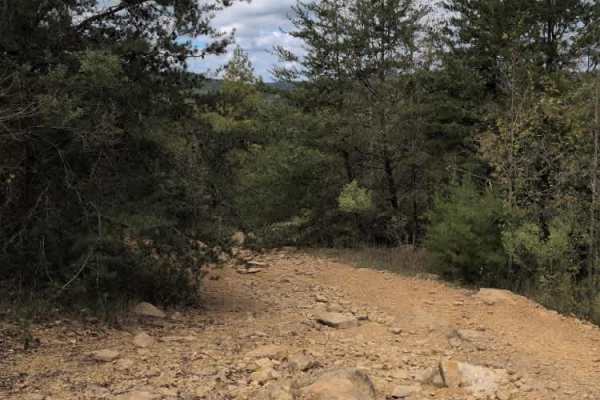 #38 Brokefoot Viewing Trail