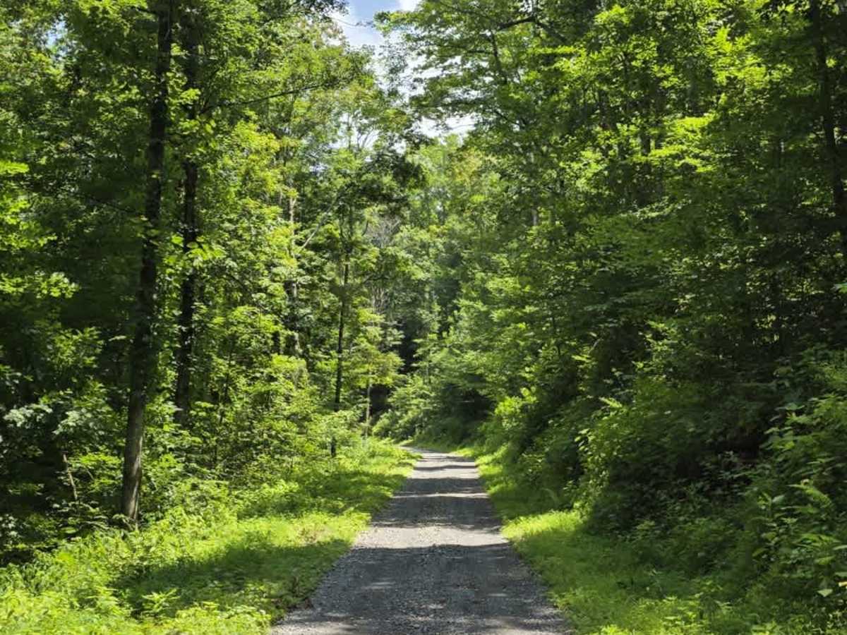 Sneed Hollow Road photo 2