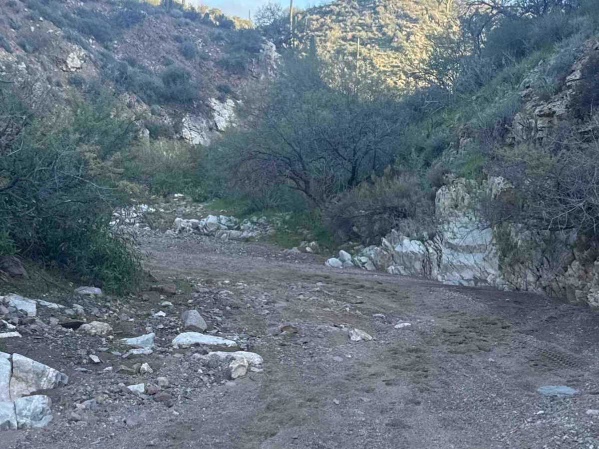 Picacho Wash  photo 5