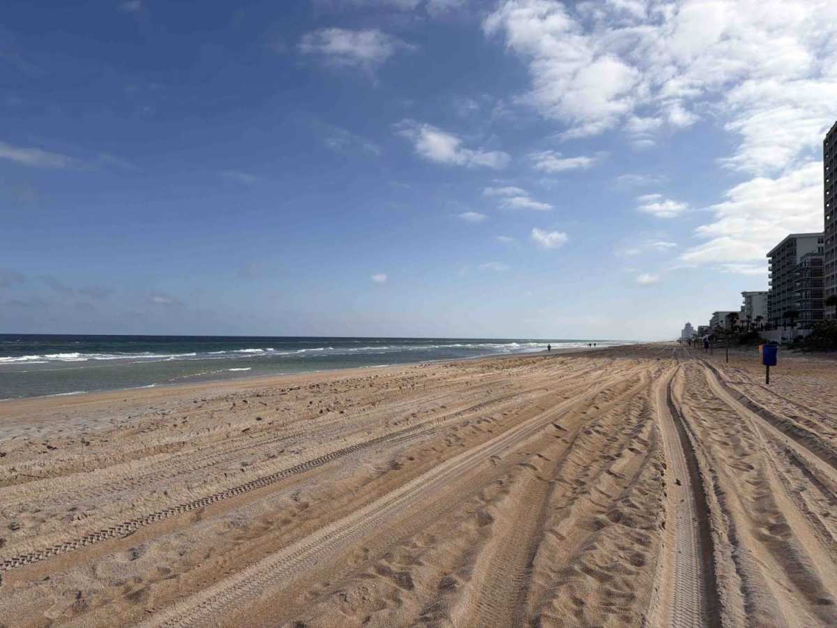 North Ormond Beach photo 5
