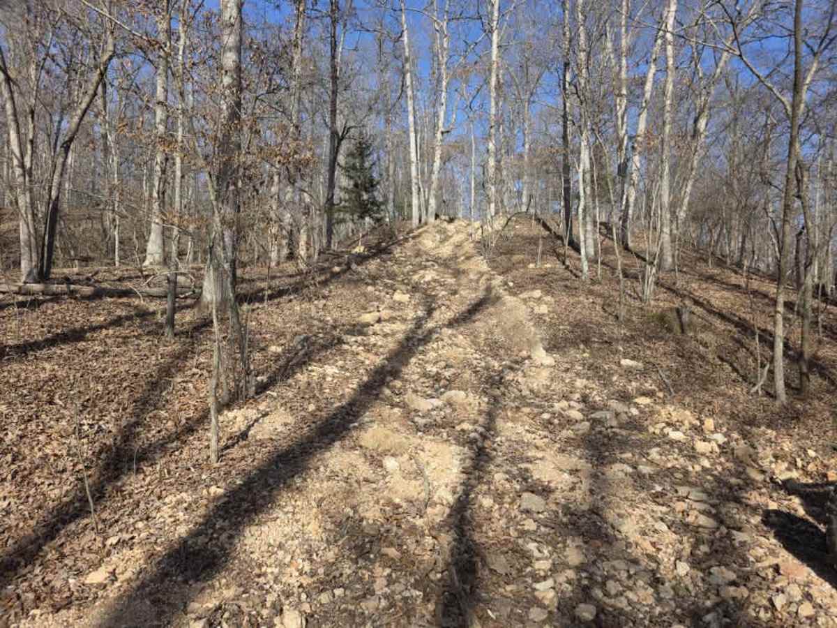 Pointed Rock  trail photo