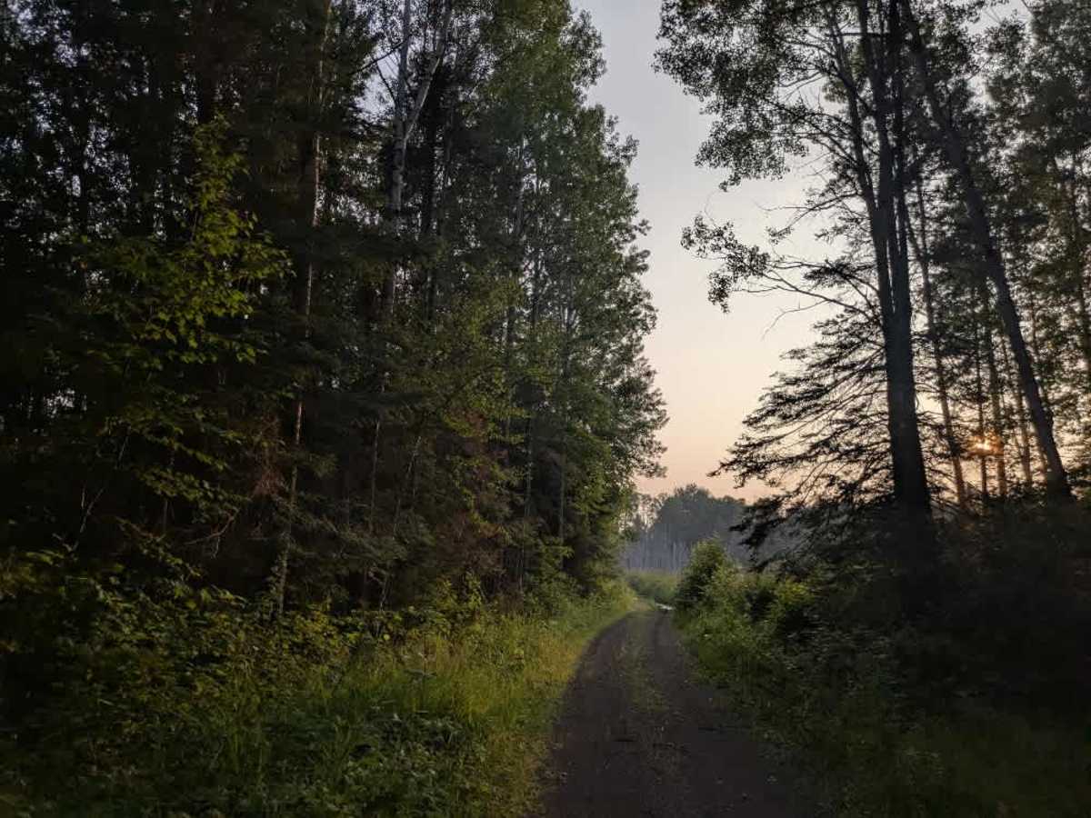 Swamp Lake photo 3