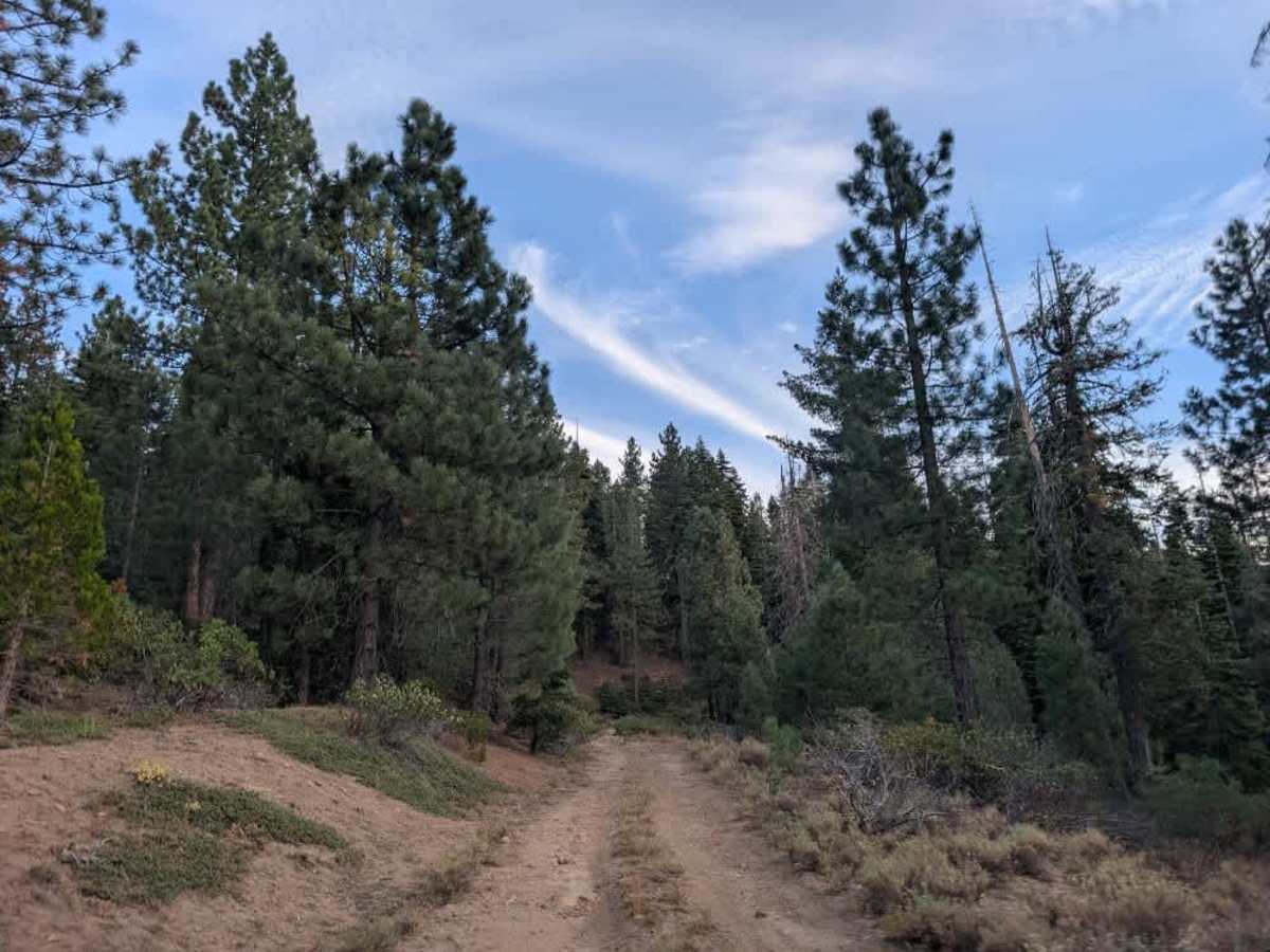 FS 24N74Y trail photo