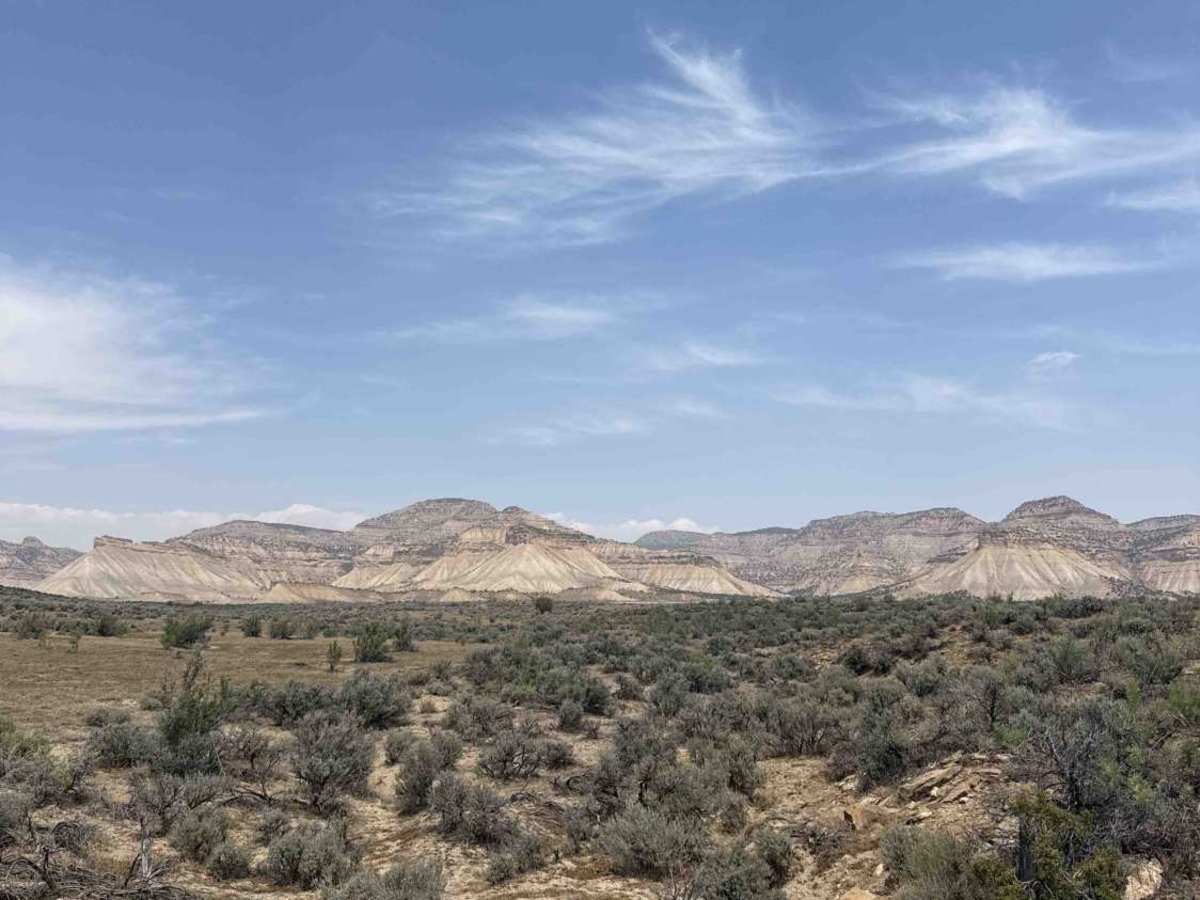 BLM 117 photo 4