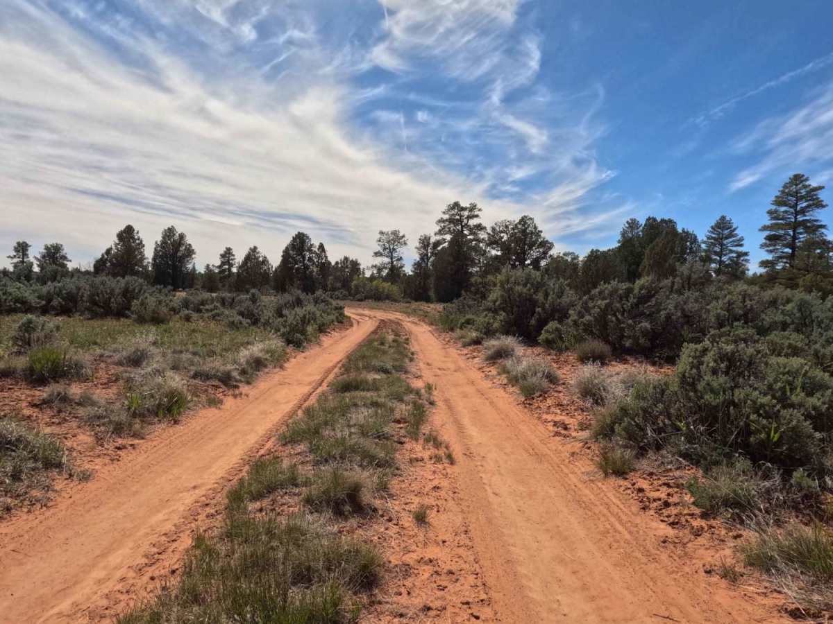 BLM 74  trail photo
