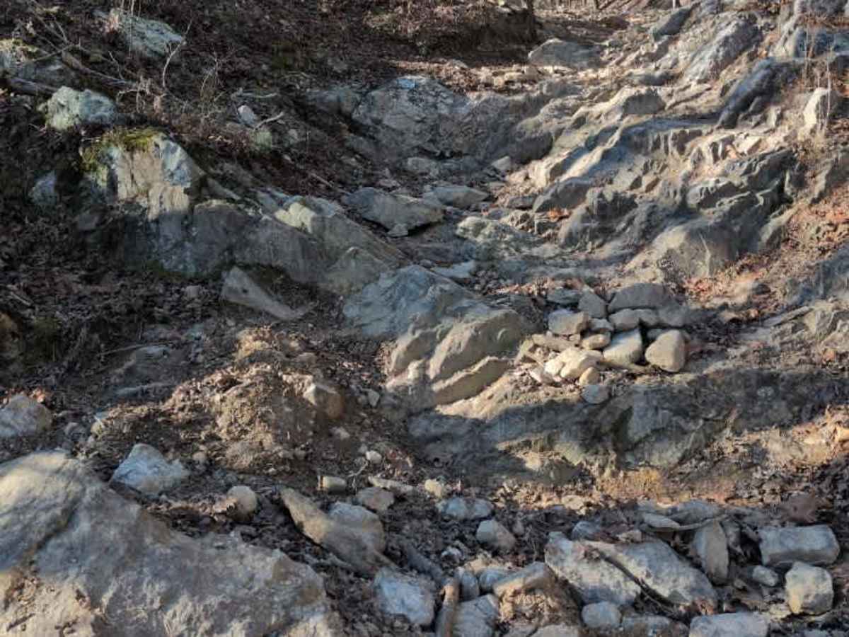 E24 Vertical Challenge photo 6