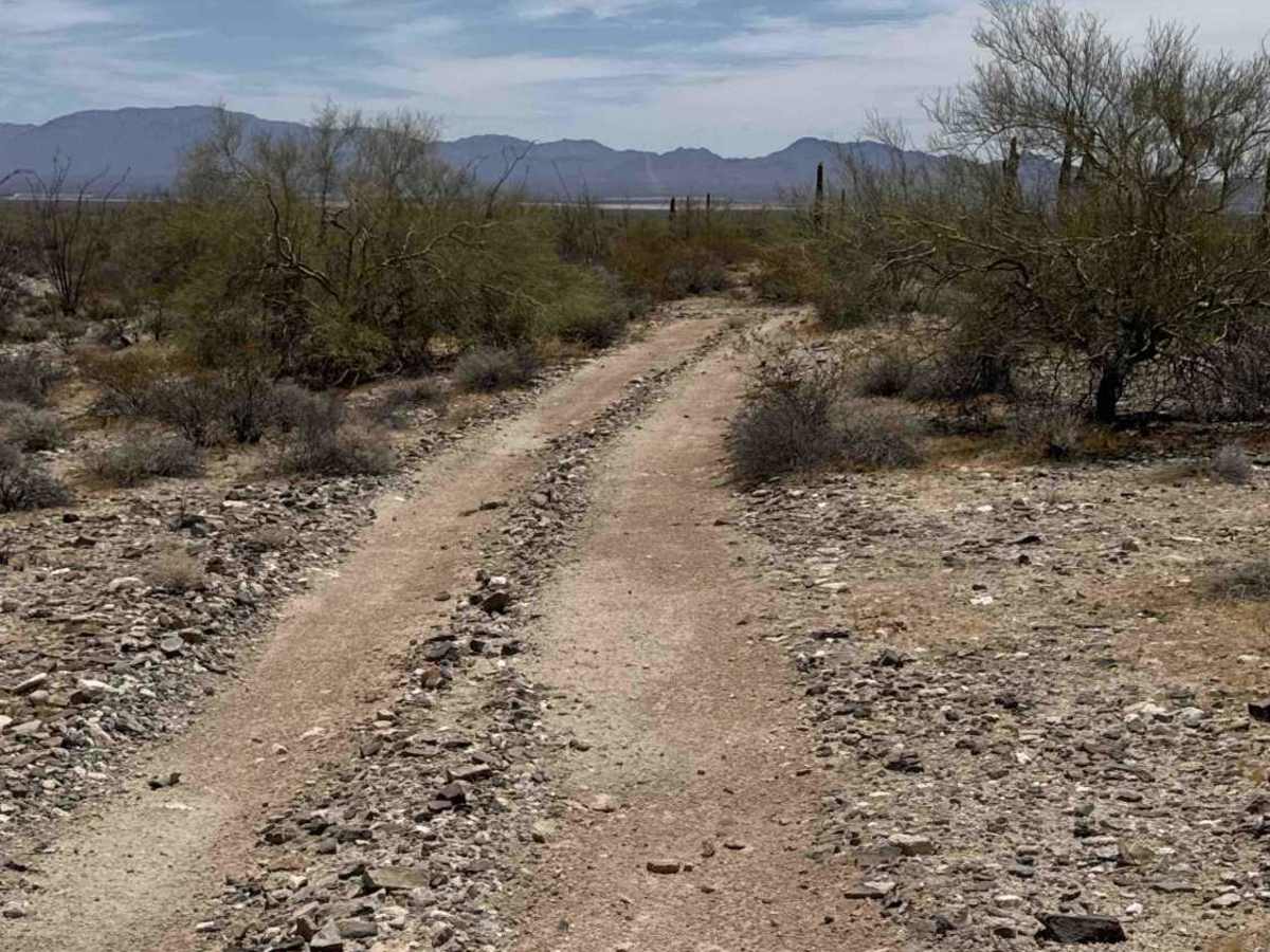 Saguaro Loop  photo 2
