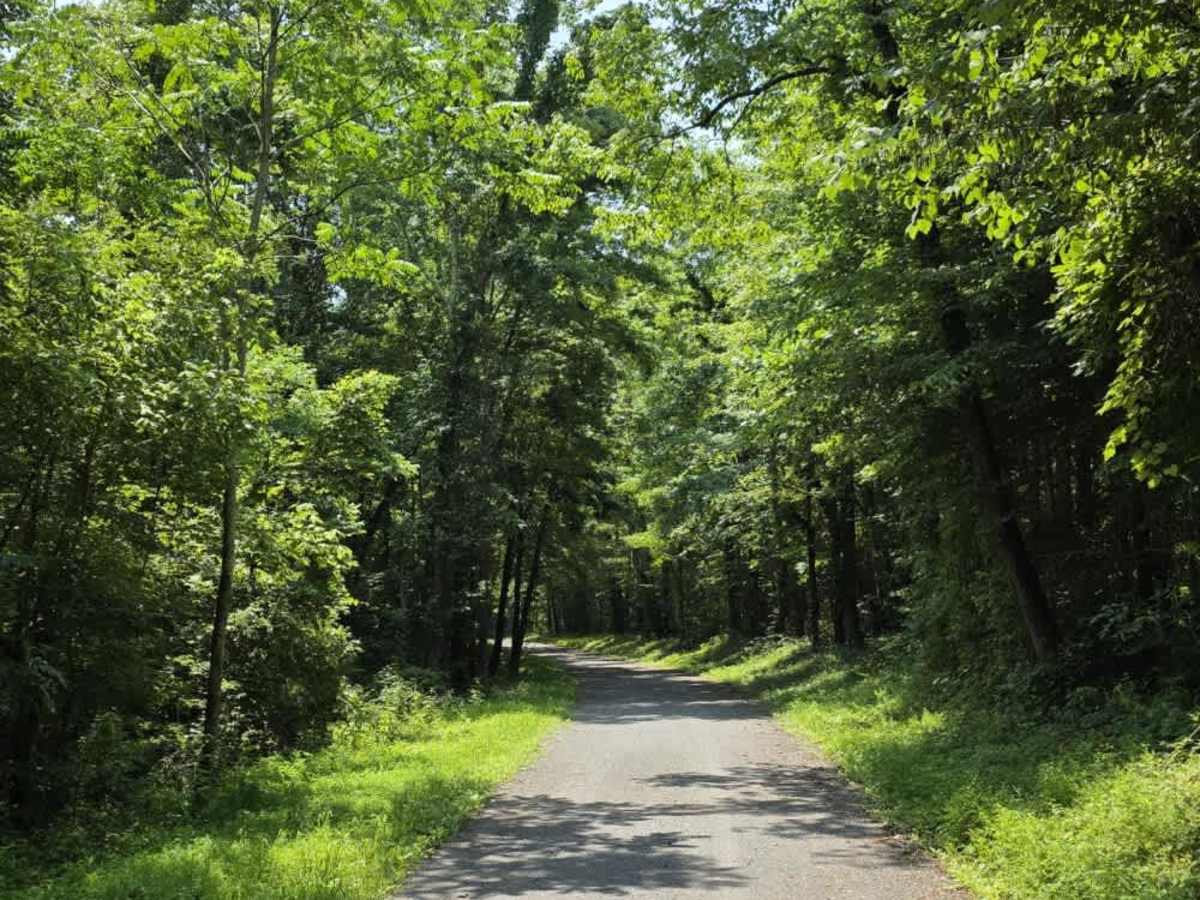 Goose Horn Road - Macon County Tour photo 3