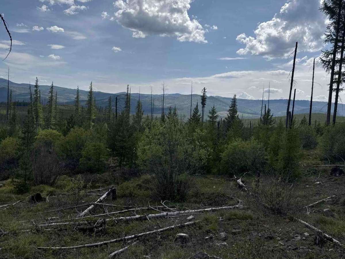Fawn Peak  photo 4