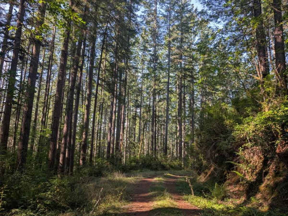 FS 2610714 trail photo