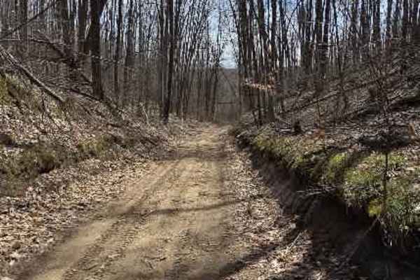 Holms Road