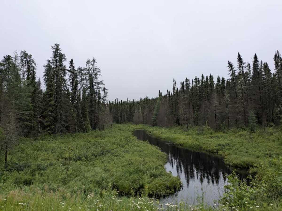 Perent Lake Road photo 4
