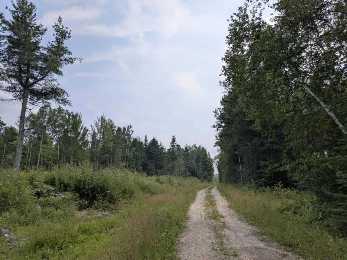 Cutacross Road photo 2