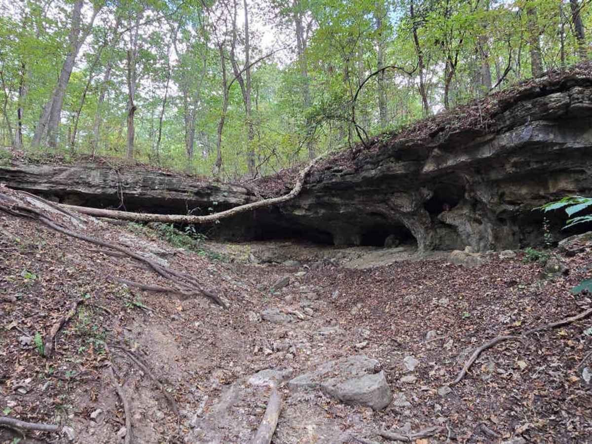 Barely Hung Trail trail photo