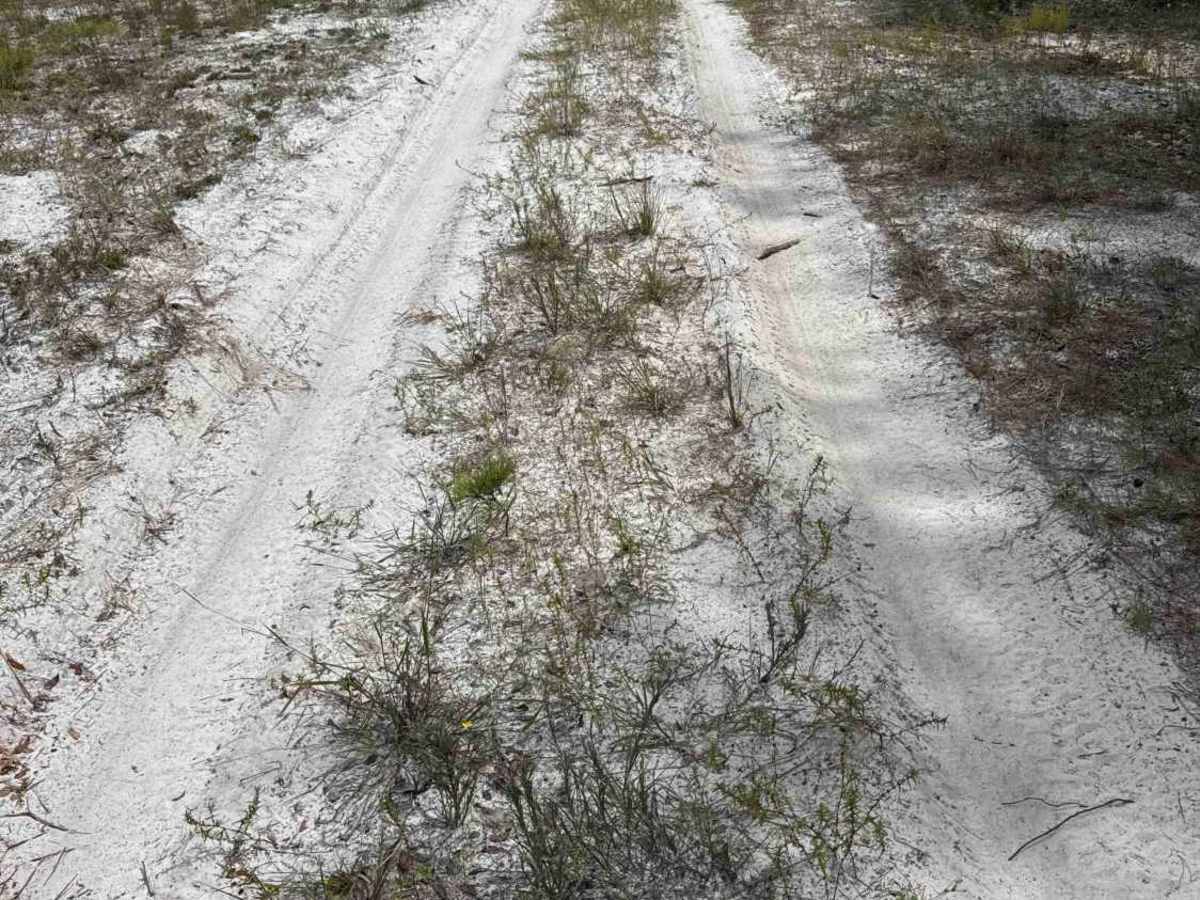 South Powerline Road photo 3