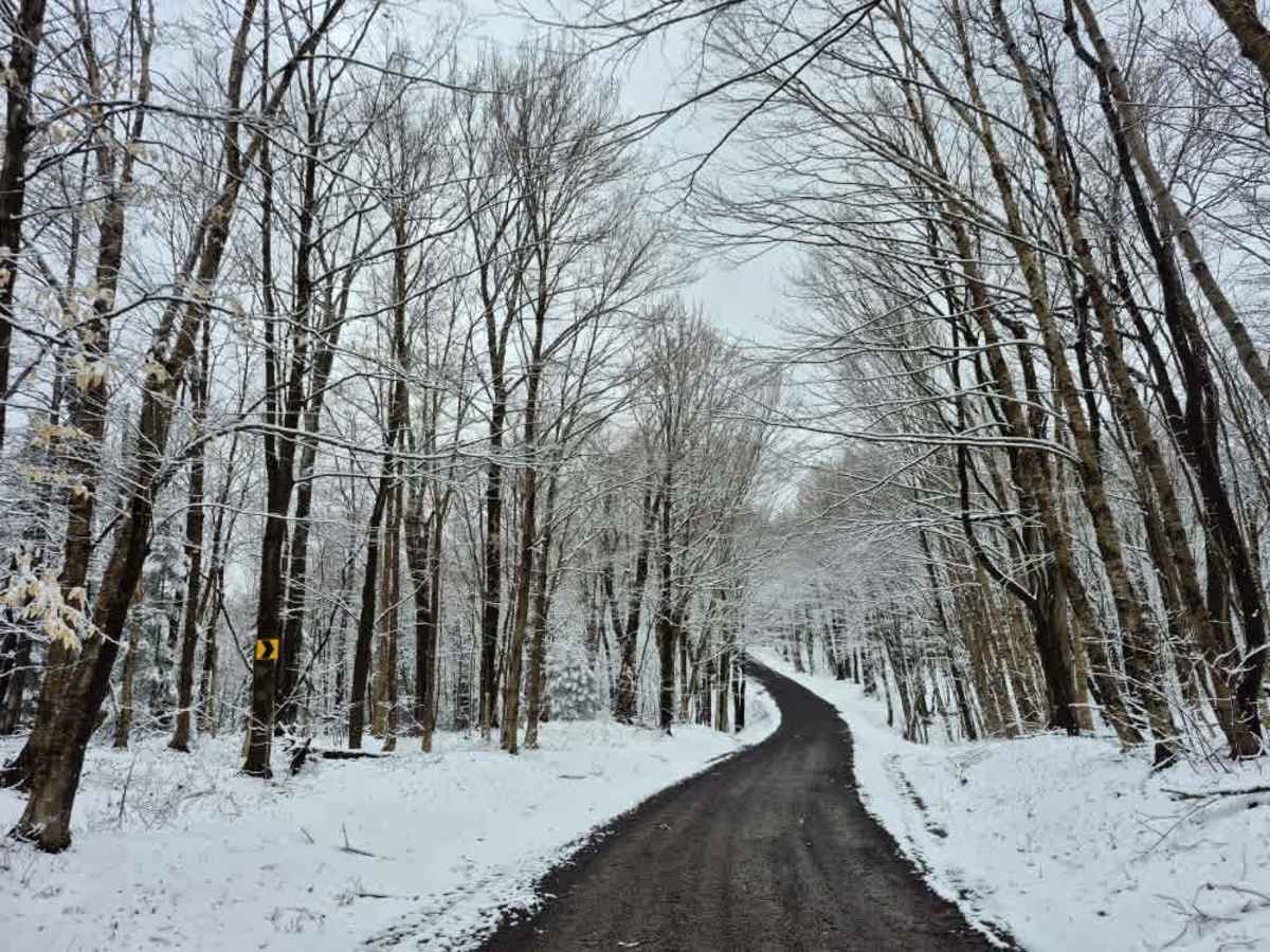 Horace Forward Truck Trail photo 4