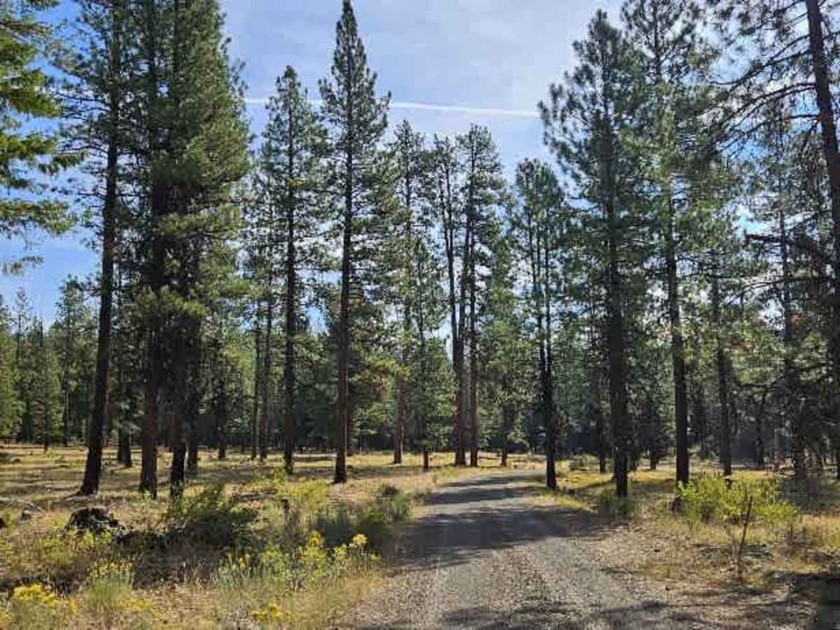FS 5830000 trail photo