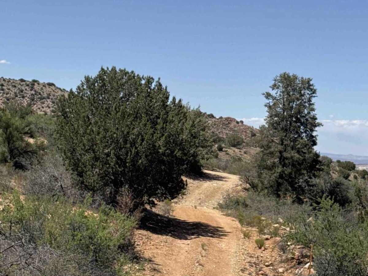 Lower Mine Trail  photo 2
