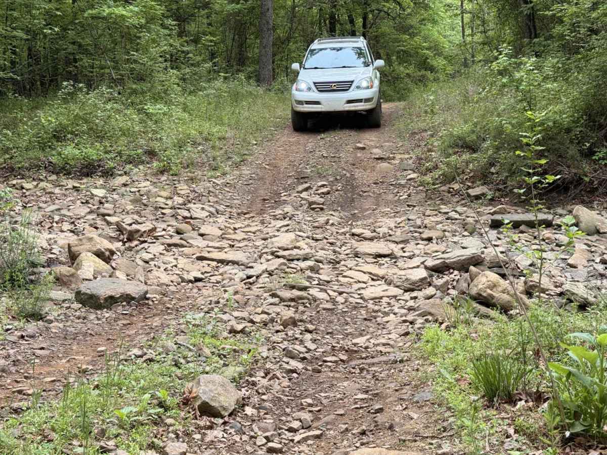 McConnell Ridge trail photo