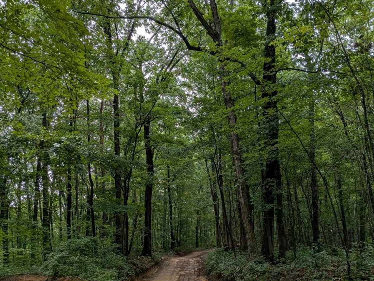 Lusk Point Road photo 4